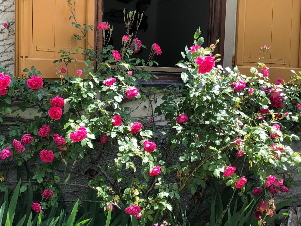 A O Soa B&B Savignone Buitenkant foto