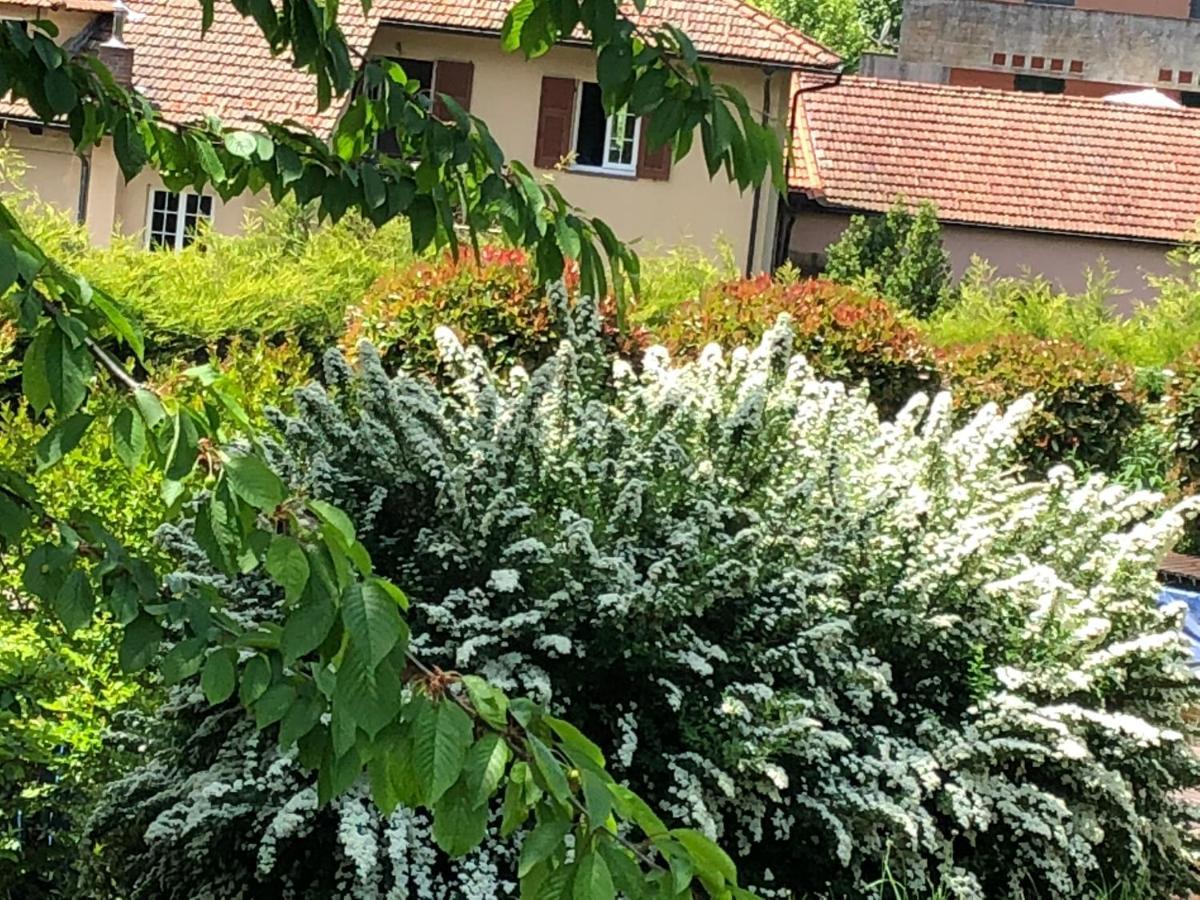A O Soa B&B Savignone Buitenkant foto
